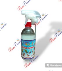 Accessory Power spray