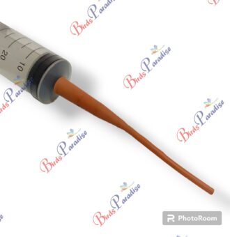 Syringe Disposable 60cc with catheter (1)