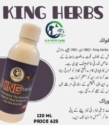 WhatsApp Image 2023-10-01 at 1.38.19 AM (1)