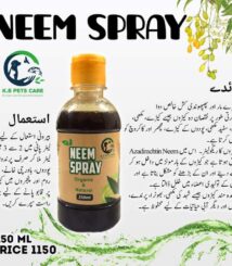 WhatsApp Image 2023-10-01 at 1.38.20 AM (1)