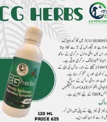 WhatsApp Image 2023-10-01 at 1.38.21 AM (1)