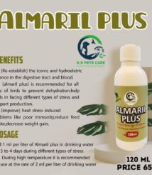 WhatsApp Image 2023-10-01 at 1.38.22 AM (1)