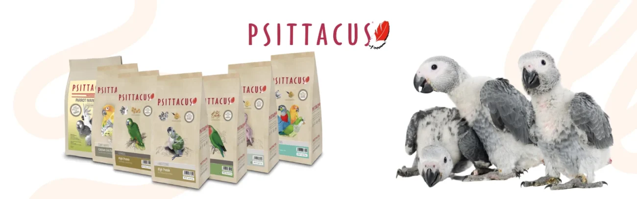 psittacus products